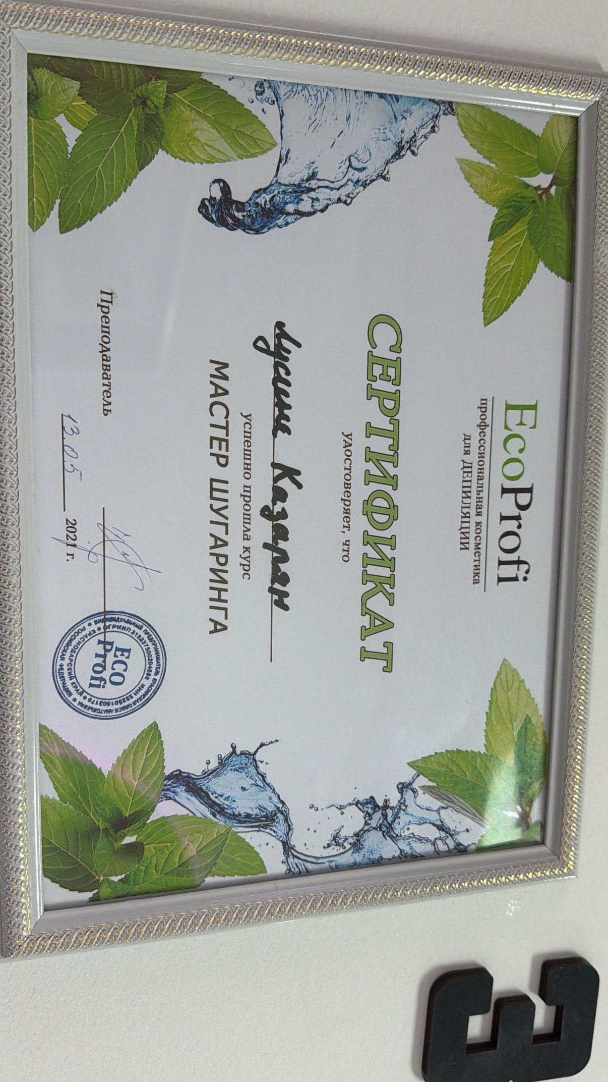 Vardanian's Certificate Lusine Ghazaryan